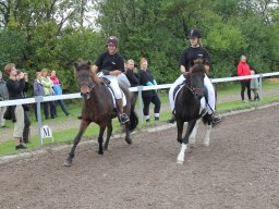 img_9383_web